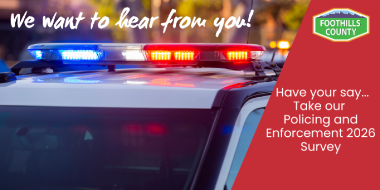 Policing Survey Picture