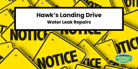 Picture announcing Hawk's Landing Water Leak