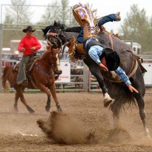 Cowboy getting thrown off a horse